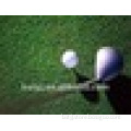 Golf Putting Green Grass (16mm)